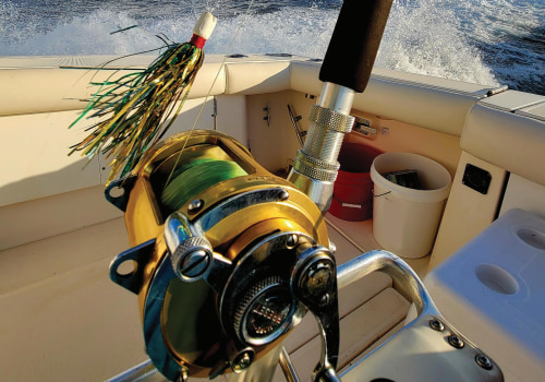 Eco-Friendly and Sustainable Fishing Charters in Leon County, Florida: A Responsible Way to Enjoy the Waters